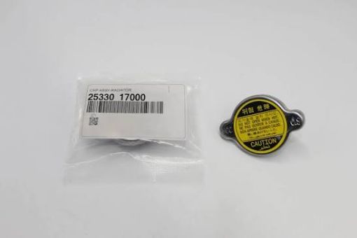 RADIATOR QAPAGI 0.9 (MOBIS) şəkil
